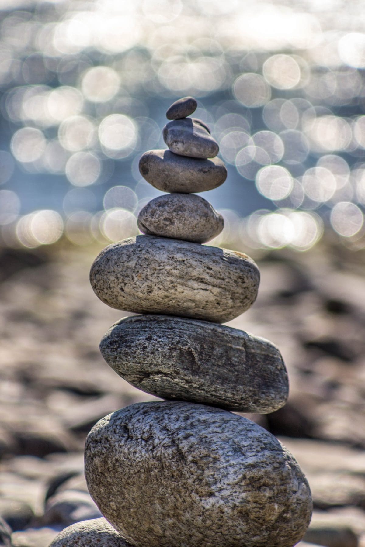 Wellness Methods Coaching Session Rock Wellness Methods Coaching Session