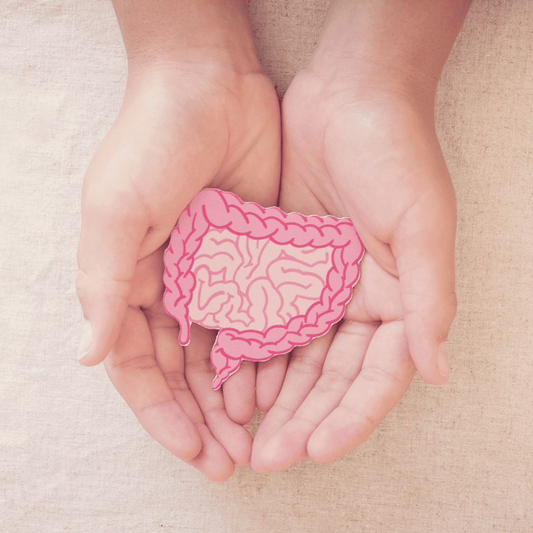 gut health Gut Health And Its Importance